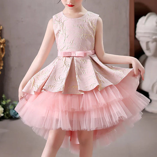 BABY GIRL LACE COZY EMBROIDERY PRINCESS DRESS BIRTHDAY PARTY DRESS TODDLER CHRISTMAS DRESS