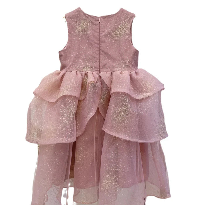 GIRLS PINK MESH PRINCESS DRESS SLEEVELESS PUFFY DRESS SEQUIN BIRTHDAY DRESS