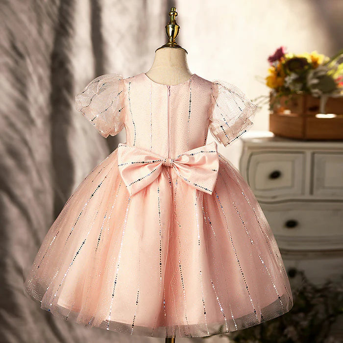 BABY GIRL BIRTHDAY PARTY DRESSES GIRL SUMMER PINK PUFFY FORMAL PRINCESS DRESSES